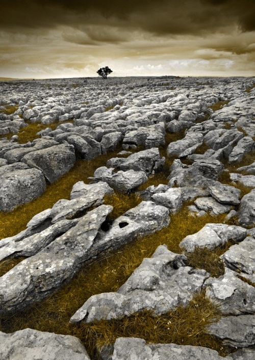 Limestone crags