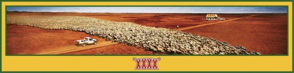 interbrew-sheep-small-51151